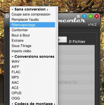 Capture d’écran 2020-09-16 à 10.34.21.jpg