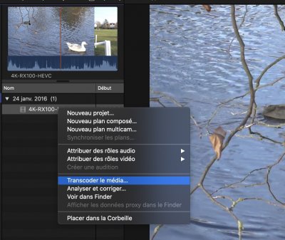 Capture d’écran 2020-10-21 à 14.27.01.jpg