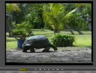 pb imag rouge 10.JPG