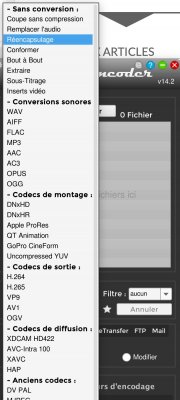 Capture d’écran 2020-11-16 à 20.27.46.jpg