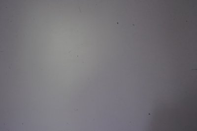 DSC04156.JPG