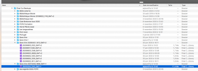 Capture d’écran 2021-02-04 à 15.18.53.png