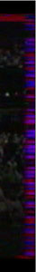 defaut video.jpg