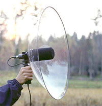 telinga.jpg