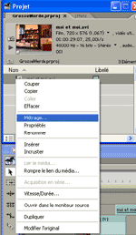 fenêtre métrageppropetite copier.gif