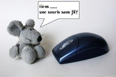 souris4404-a.jpg