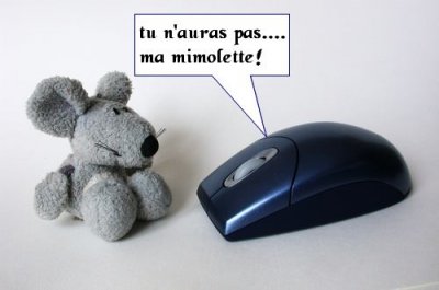 souris4404-b.jpg