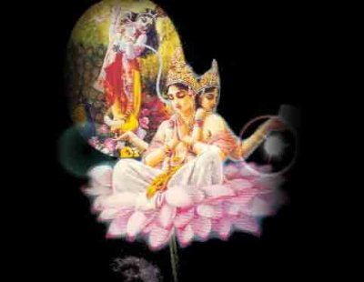 image-brahma.jpg