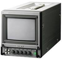 pvm6041.jpg