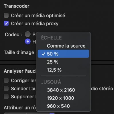 Capture d’écran 2021-03-26 à 09.37.06.jpg