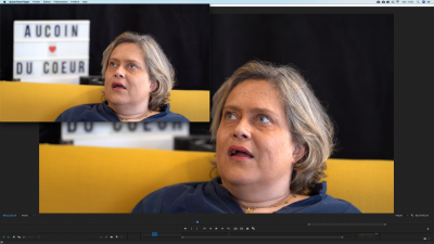 couleur-ancien-modele.png