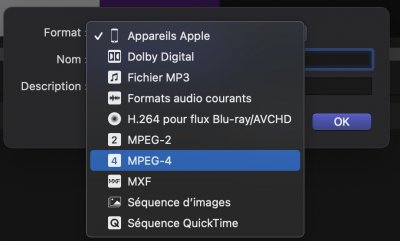 Capture d’écran 2021-04-07 à 11.03.05.jpg