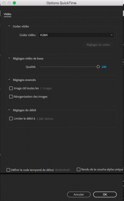 Capture d’écran 2021-05-26 à 16.02.11.png