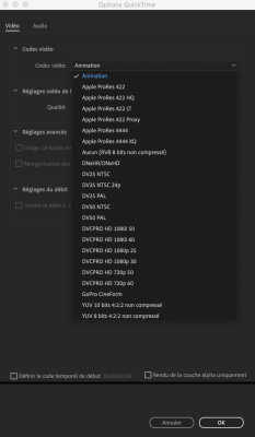 Capture d’écran 2021-05-26 à 16.04.46.png