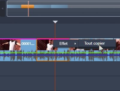 Tout copier.JPG