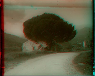 LEREPAIRE_2021-07-03_02-48-54.jpg