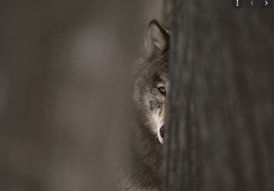 Capture d’écran 2021-07-27 à 18.24.30.png