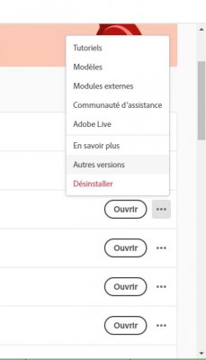 Autre version.jpg