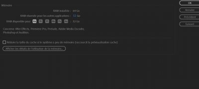mémoire.JPG