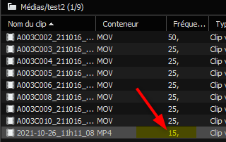 parametres du clip vue du chutier.png