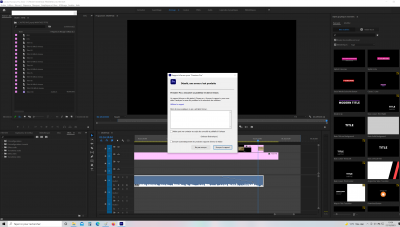 PREMIERE PRO PROBLEME.png