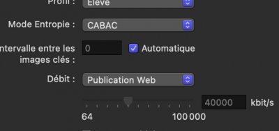 Capture d’écran 2022-02-03 à 10.48.16.jpg