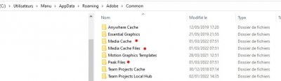 Cache Adobe.jpg