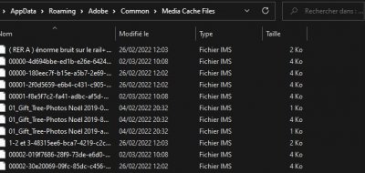 Média cache files.jpg