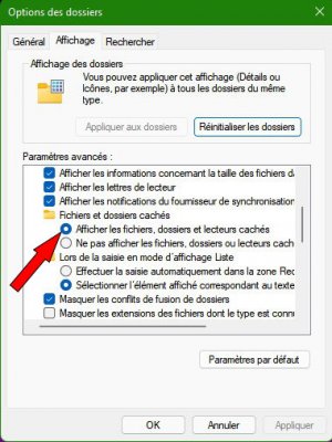 Fichiers cachés.jpg