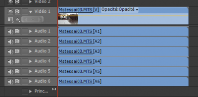TL.PNG