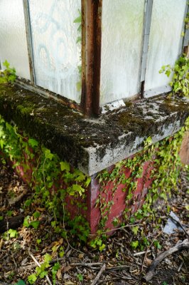 DSC01403.jpg