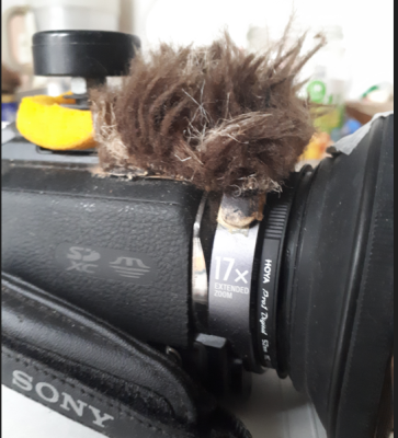 Bonnette Camescope.PNG