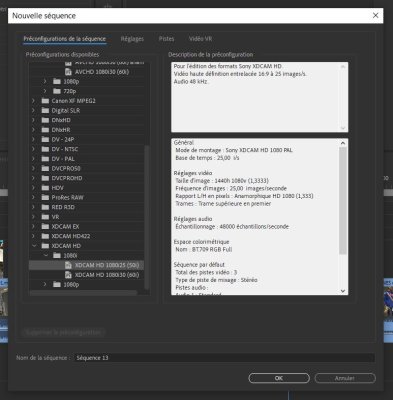 Sequence 02 PREMIERE.JPG