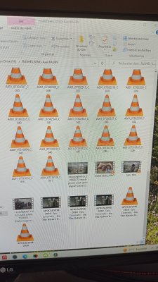 IMG_20230804_131903.jpg