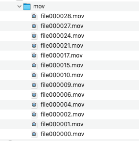 Capture d’écran 2024-07-09 à 14.41.03.png