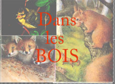 auxbois.jpg