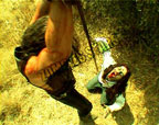 zs01.jpg