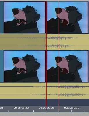 capture.jpg