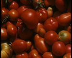 hb_tomatesc.jpg