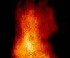 comp 2.gif