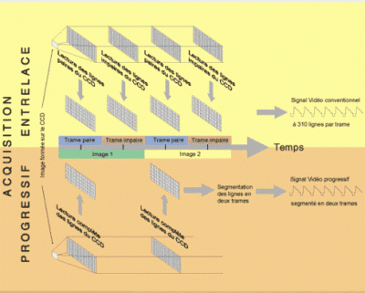 crop-to-4x6.gif