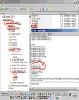arborescence MSP7.jpg