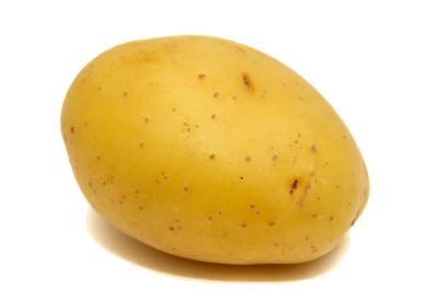 PATATE-modified.png