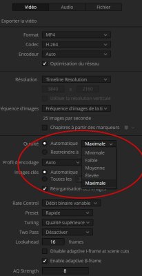 Export h264 DVR 20.1.1_Auto.jpg