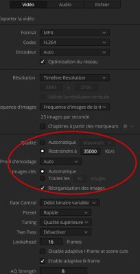 Export h264 DVR 20.1.1_Manuel.jpg