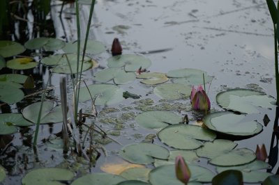 image93_resultat.jpg