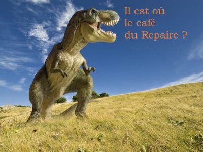 tyra - Copie.jpg