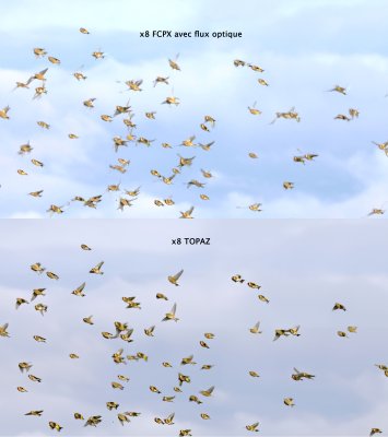 Ralenti x8 Comparaison FCPX-flux-optique vs Topaz.jpg
