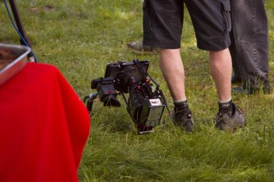 _MG_1413 (Petit).jpg