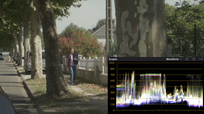 Waveform DaVinci.png